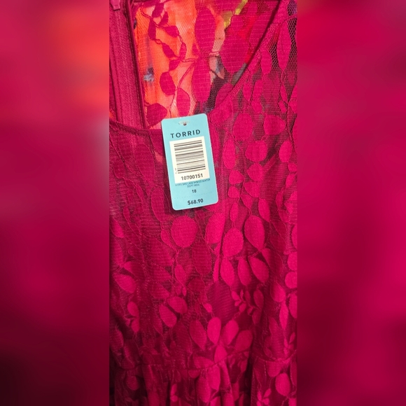 🍁🍂NWT TORRID 18 Lace Dress - Picture 3 of 5